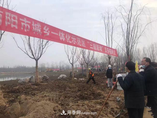 南陽(yáng)月季大觀(guān)園西園建設提速：黨員干部開(kāi)展冬季義務(wù)植樹(shù)(圖1)