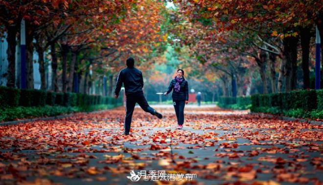 連云港灌云：撩人，滿(mǎn)城風(fēng)景看不盡(圖3)