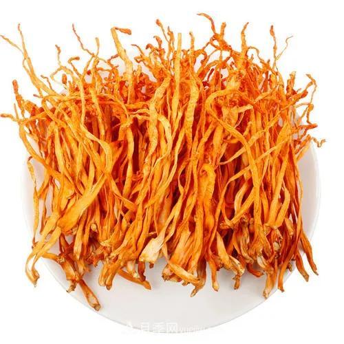 中國蛹蟲(chóng)草（北冬蟲(chóng)夏草）產(chǎn)業(yè)發(fā)展前景及風(fēng)險分析(圖1)