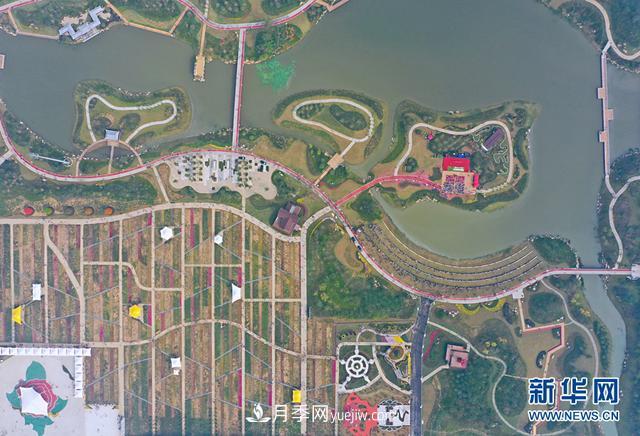 回顧記錄，中國月季展覽會(huì )花開(kāi)阜陽(yáng)(圖4)