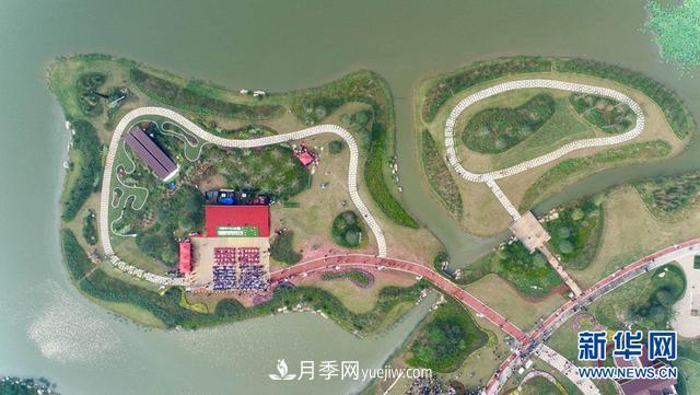 回顧記錄，中國月季展覽會(huì )花開(kāi)阜陽(yáng)(圖2)