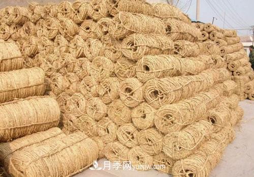 園林綠化中草繩繞樹(shù)干的長(cháng)度和用量怎么計算(圖3)