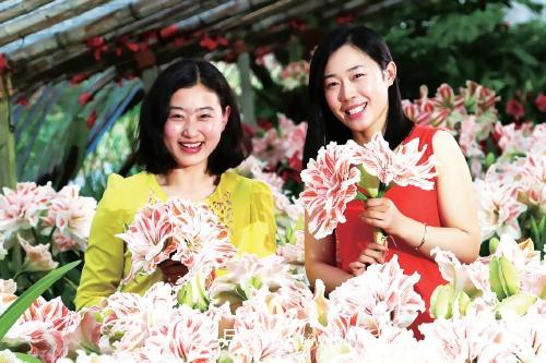 江蘇連云港崗埠農場(chǎng) 小康路上花正艷(圖1)