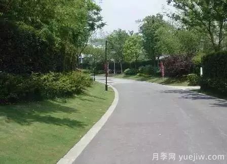***全常用草坪品種、優(yōu)點(diǎn)缺點(diǎn)和施工要點(diǎn)(圖16)