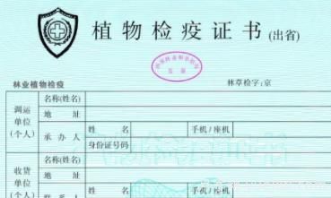 苗木三證一簽指的是什么？(圖1)