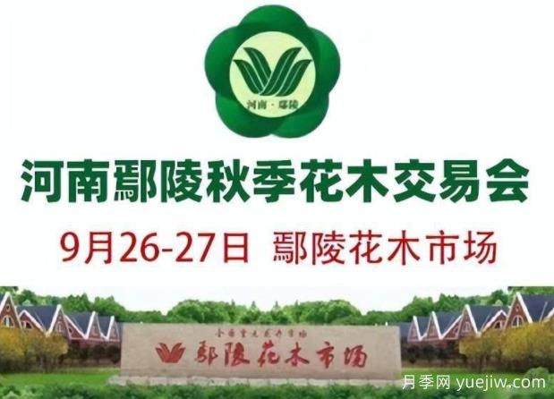 9月26日河南鄢陵第十屆秋季花木交易會(huì )舉辦(圖1)