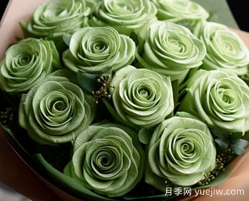蘇格蘭復古綠玫瑰，綠色魅力的神秘詮釋(圖1)