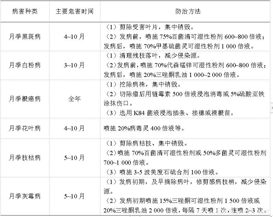 石家莊月季栽培養護技術(shù)規程(圖5)