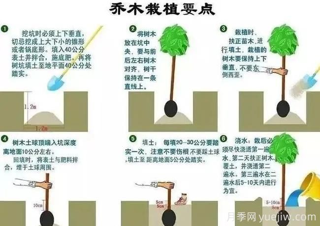 秋冬季園林植物養護技術(shù)要點(diǎn)(圖2)