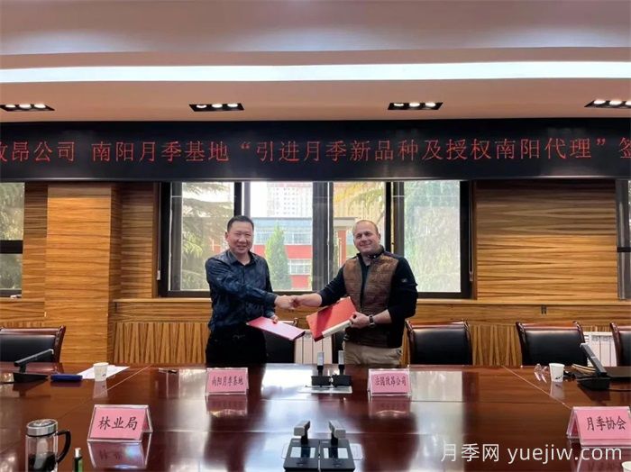 南陽(yáng)月季基地和法國玫昂月季公司簽約引進(jìn)新品種(圖1)