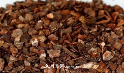園林景觀(guān)綠化中松樹(shù)皮的應用(圖1)