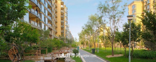 綠地率和綠化率的區別(圖1)