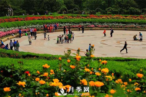 我國5年來(lái)林業(yè)產(chǎn)業(yè)總產(chǎn)值年均增速12.1%(圖1)