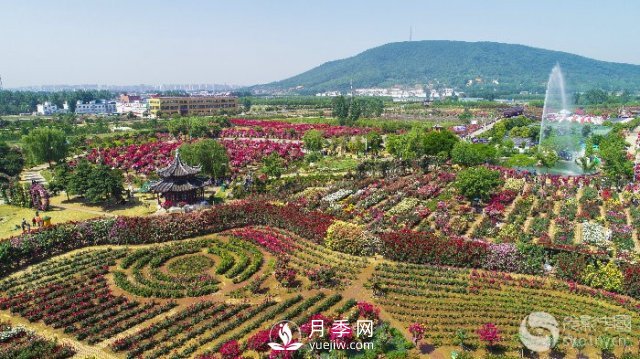 解讀南陽(yáng)三水三山，助力綠色生態(tài)發(fā)展(圖2)