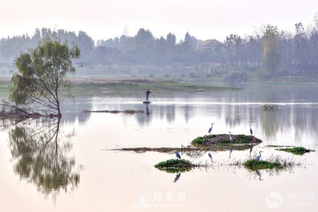 解讀南陽(yáng)三水三山，助力綠色生態(tài)發(fā)展(圖5)