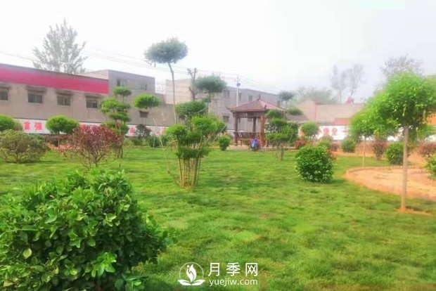 開(kāi)封尉氏：見(jiàn)縫插綠做綠化 繪得崗李滿(mǎn)眼景(圖1)