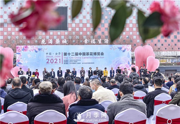 第十二屆中國茶花博覽會(huì )在浙江金華開(kāi)幕(圖1)