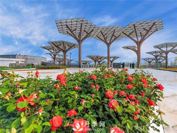 南陽(yáng)世界月季大觀(guān)園景區簡(jiǎn)介(圖1)