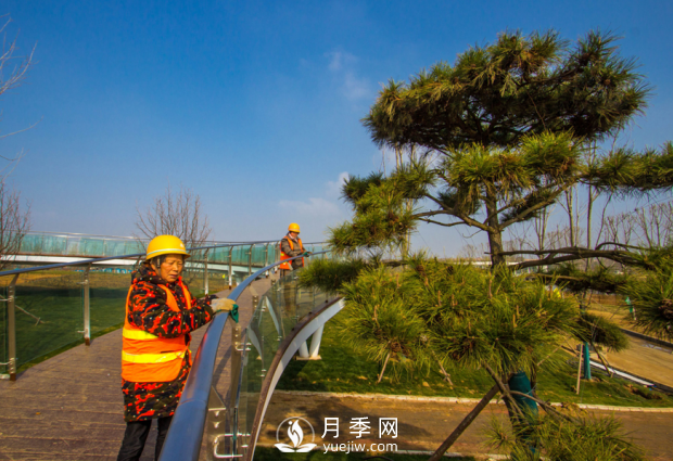 河南南陽(yáng)：扮亮世界月季大觀(guān)園 喜迎世界月季博覽會(huì )(圖3)