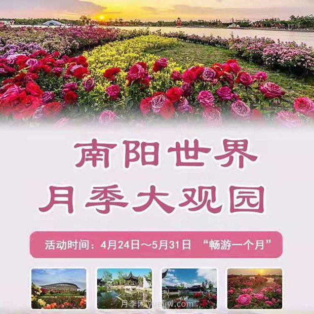 河南南陽(yáng)高質(zhì)量推進(jìn)月季花會(huì )籌備工作(圖1)