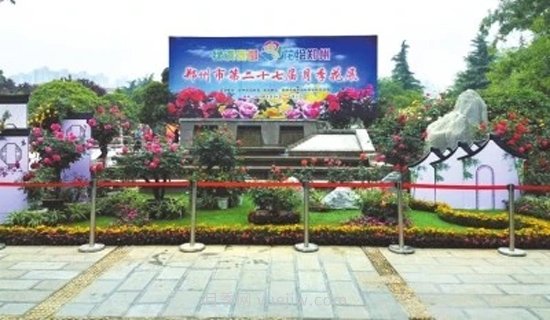 30萬(wàn)株月季花美麗綻放 鄭州第27界月季花展來(lái)了(圖1)