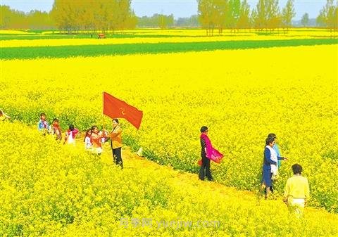 鄉村振興 休閑農業(yè)不負春(圖3)