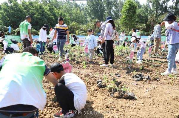 漯河城管園林科研所，邀請400余位市民花田體驗栽花(圖3)