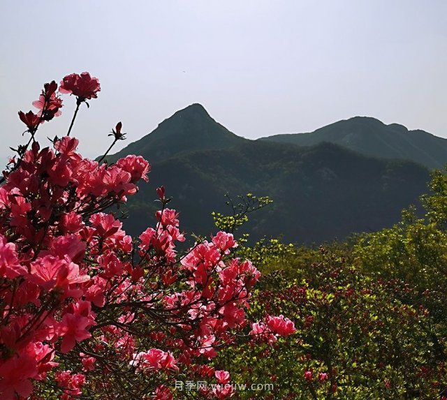 桐柏縣，淮河之源 坐標桐柏山(圖2)