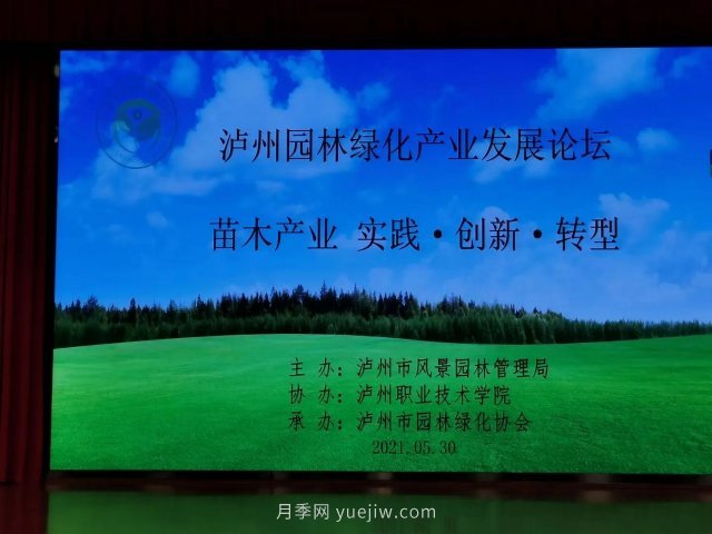 瀘州園林綠化產(chǎn)業(yè)發(fā)展論壇召開(kāi)，大伽把脈苗木行業(yè)(圖2)