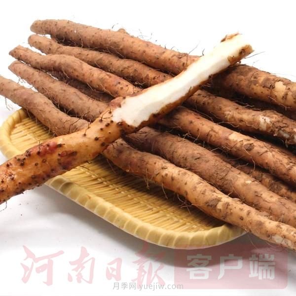 推動(dòng)河南農業(yè)“小特產(chǎn)”向“大產(chǎn)業(yè)”升級(圖1)