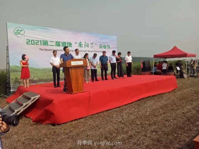 第二屆道地“南陽(yáng)艾”采收節在社旗縣大馮營(yíng)鎮舉辦(圖2)