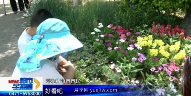 呼和浩特小黑河賞花勝地！20千米觀(guān)景帶3000多株月季花......(圖2)