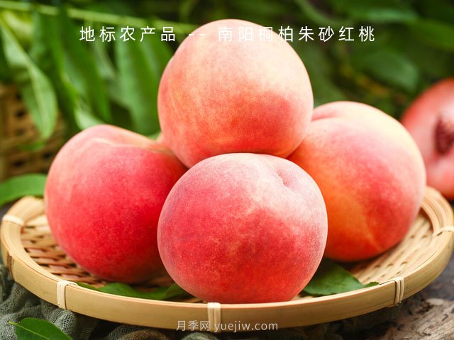 鄉村振興——如何讓消費者愛(ài)上農村特色農產(chǎn)品(圖1)