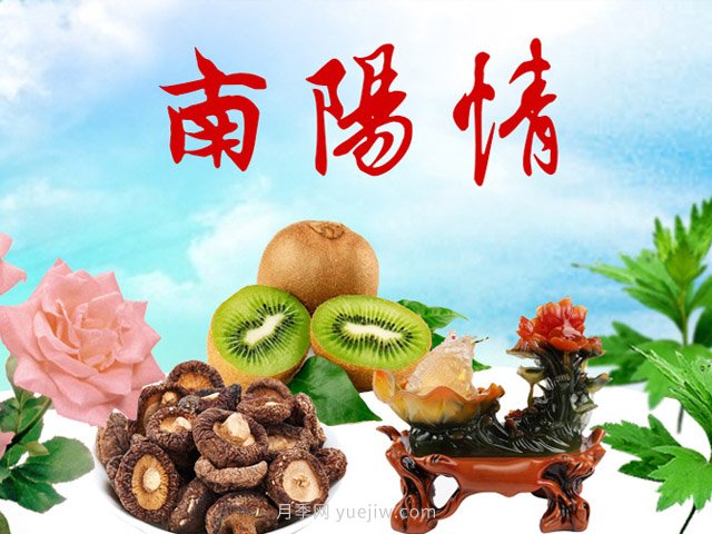 鄧州打造宜居宜游“美麗鄉村畫(huà)廊”(圖1)
