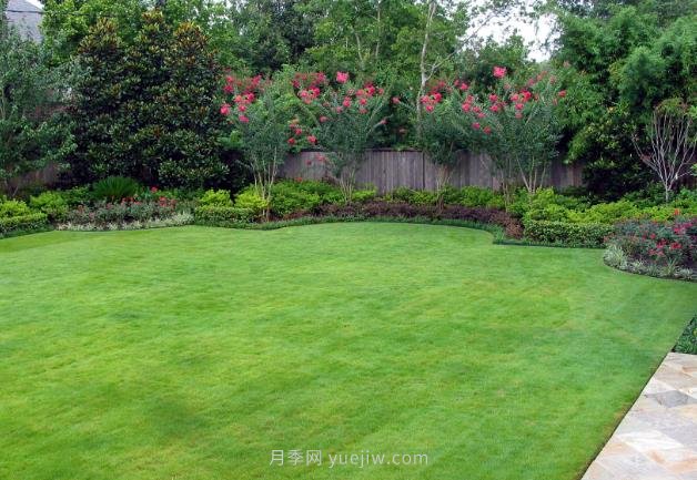 簡(jiǎn)單的草坪和不簡(jiǎn)單的設計(圖1)