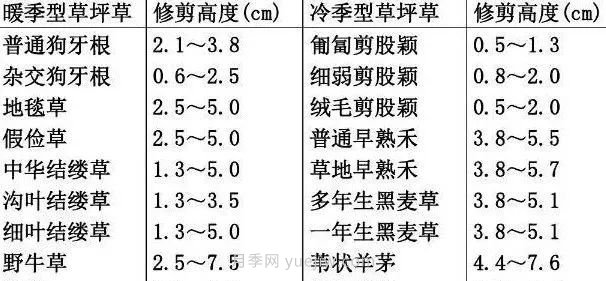 景觀(guān)草坪修剪全攻略，實(shí)用干貨分享(圖2)