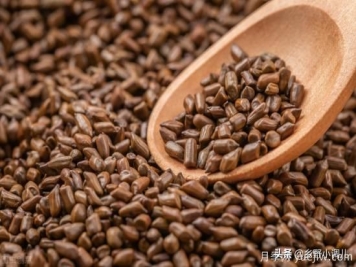 種植哪些藥材前景好？3種中藥材用途廣收益高前景好