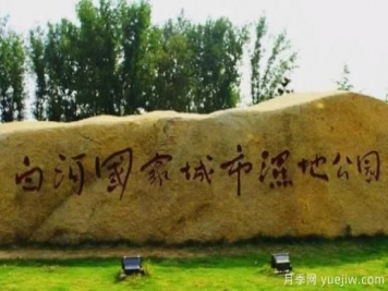 南陽(yáng)白河濕地公園，晨暮讀覽春夏秋冬