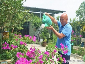 西咸新區：建設美麗家園 助推鄉村振興