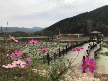 南陽(yáng)桐柏：全域黨建+旅游助推鄉村振興