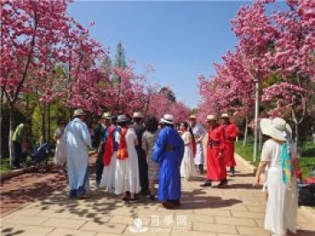 定位為月季主題公園，昆明呈貢區將集中打造彩云公園
