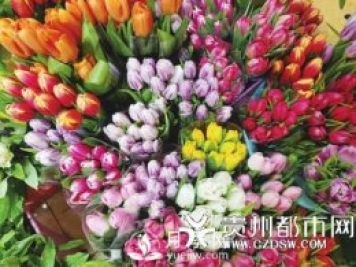 貴陽(yáng)近期鮮花漲價(jià) 玫瑰花賣(mài)到70元一把