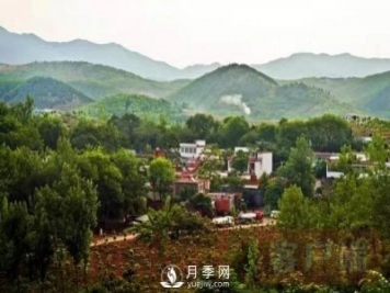 南陽(yáng)鎮平：“以綠引金”鑄就鄉村振興新亮點(diǎn)