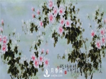“月季花濕法畫(huà)法第一人”王躍進(jìn)廈門(mén)辦專(zhuān)題月季展