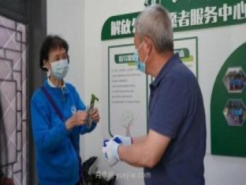 送你一枝月季，許你一束繁花，武漢百余市民領(lǐng)到月季扦插枝條