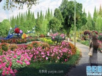 2021年貴陽(yáng)花溪公園精品月季花卉展即將對外開(kāi)放