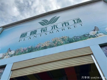 鄢陵縣花木產(chǎn)業(yè)未必能想到的那些問(wèn)題