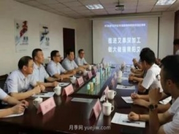 推進(jìn)艾草深加工，做大做強南陽(yáng)艾，主題座談會(huì )成功召開(kāi)