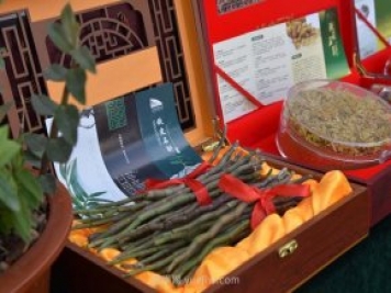 華潤三九赴南召縣開(kāi)展中藥材產(chǎn)業(yè)調研