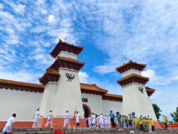 南陽(yáng)中藥材種植面積185萬(wàn)畝 艾草年銷(xiāo)售額達110億元